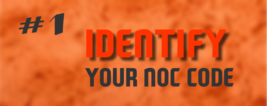 Determine what is NOC code for your occupation 